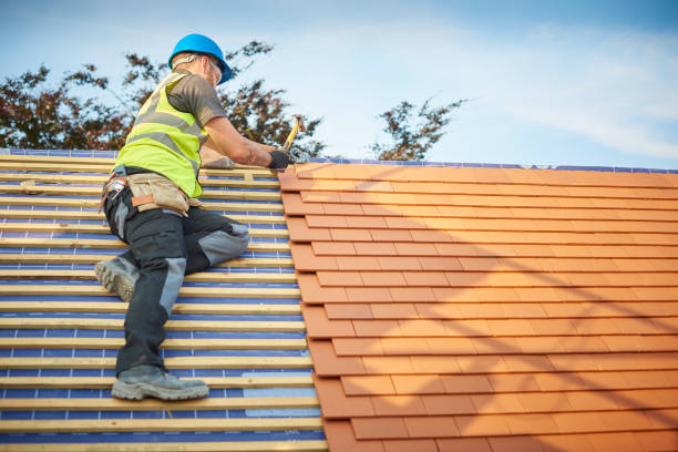 Best Roof Leak Repair  in Fort Ashby, WV